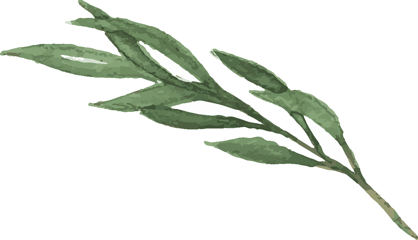 Preisliste Hair Et Cetera